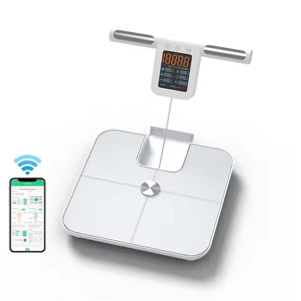 Smart Body Fat Scale for with  - Body Fat Scale Smart review and price