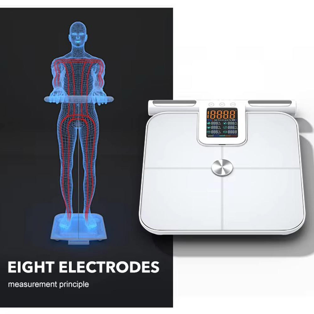Smart Body Fat Scale for with  - Body Fat Scale Smart review and price